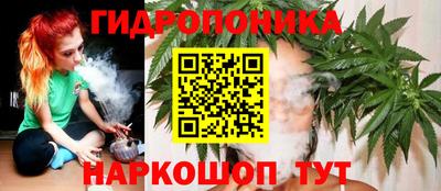 дурь Гатчина