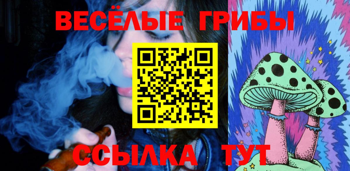 Галлюциногенные грибы Cubensis Знаменск