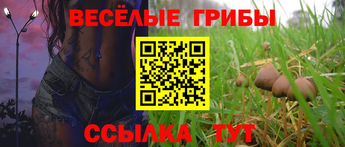 Амфетамин Знаменск